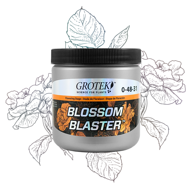 Grotek Blossom Blaster