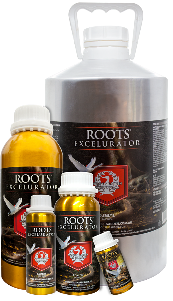 House & Garden Roots Excelurator