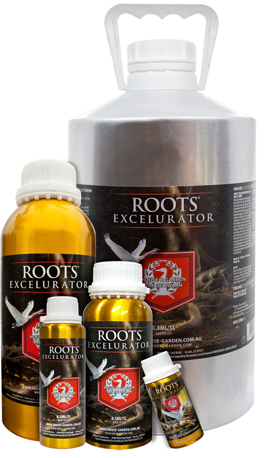 House & Garden Roots Excelurator